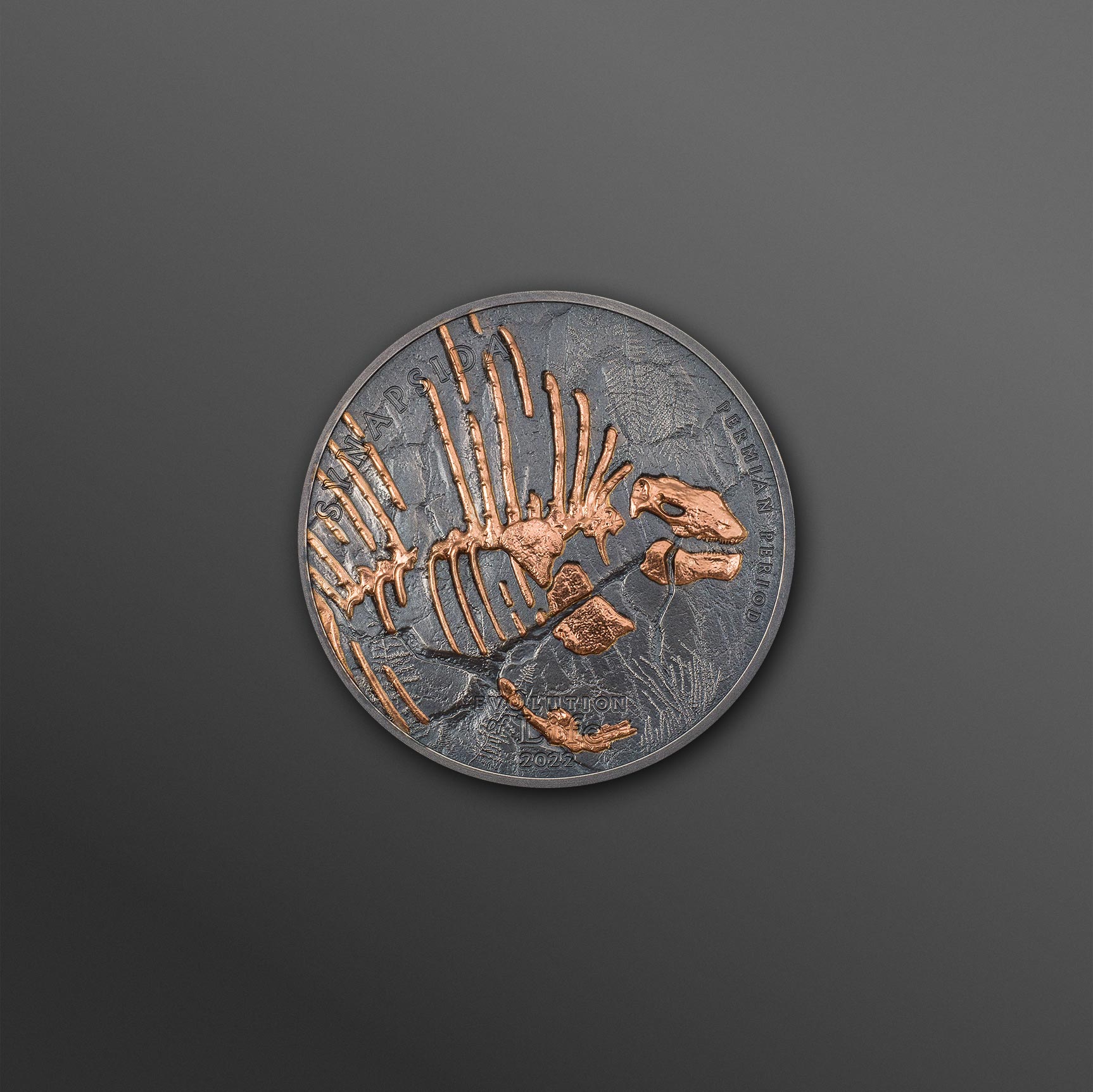 Synapsida / Edaphosaurus